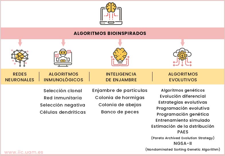 Algoritmos Bioinspirados