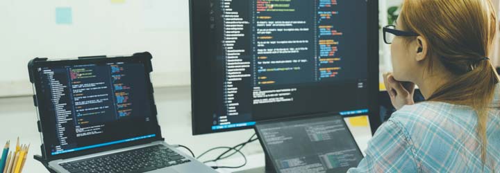 chatbots y variables